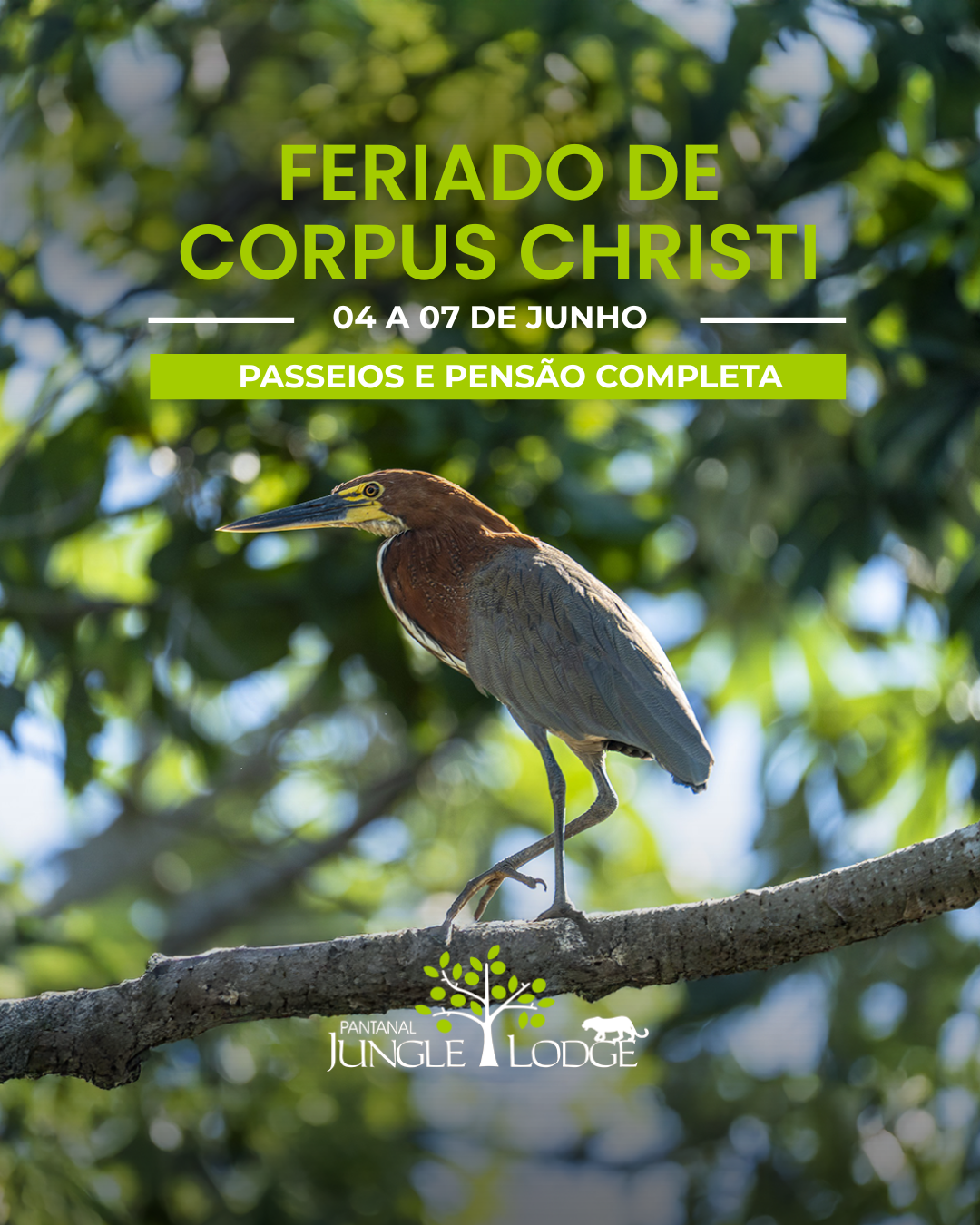Corpus Christi no Pantanal Jungle Lodge